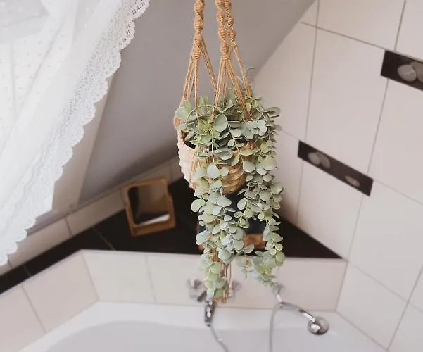 Appartement Zum Alten Lampenladen *